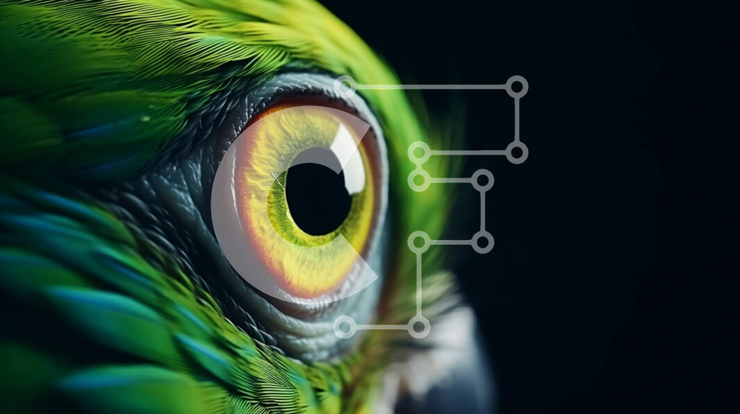 Intra Συλλεκτικό Ξύλινο Παζλ Plywood  4mm - Κοντινό πλάνο ενός πράσινου και κίτρινου ματιού πουλιού Σε Ξύλινο Κουτί - Διαστάσεις: 10x10 cm – 25 κομμάτια