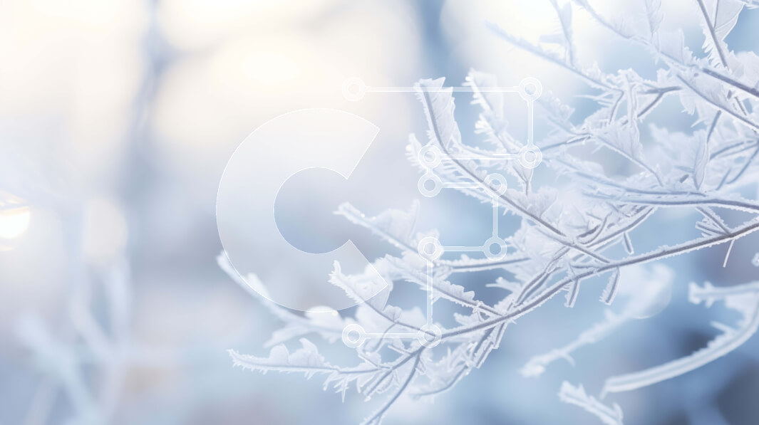 Intra Συλλεκτικό Ξύλινο Παζλ Plywood  4mm - Κλαδί δέντρου καλυμμένο με παγετό το χειμώνα Σε Ξύλινο Κουτί - Διαστάσεις: 10x10 cm – 25 κομμάτια