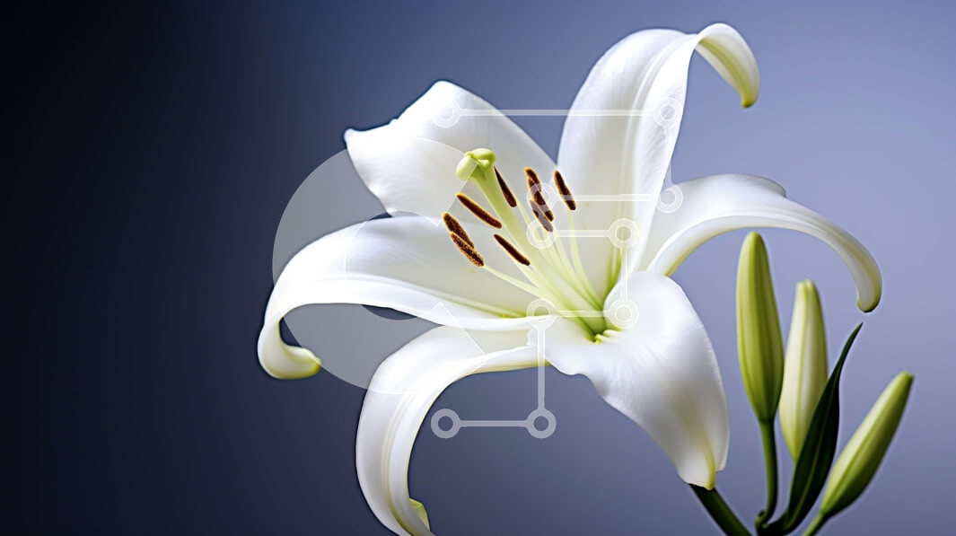 Intra Συλλεκτικό Ξύλινο Παζλ Plywood  4mm - Κοντινό πλάνο ενός ανθισμένου λευκού λουλουδιού Σε Ξύλινο Κουτί - Διαστάσεις: 10x10 cm – 25 κομμάτια