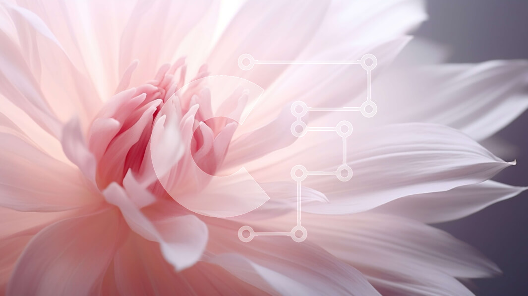 Intra Συλλεκτικό Ξύλινο Παζλ Plywood  4mm - Κοντινό πλάνο ενός ανθισμένου ροζ λουλουδιού Σε Ξύλινο Κουτί - Διαστάσεις: 10x10 cm – 25 κομμάτια