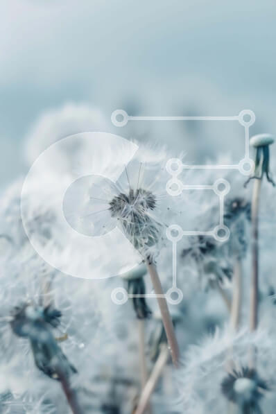 Σετ των 2 Intra Συλλεκτικό Ξύλινο Παζλ Plywood  4mm - Λευκές πικραλίδες που επιπλέουν στον αέρα Σε Ξύλινο Κουτί - Διαστάσεις: 10x10 cm – 25 κομμάτια