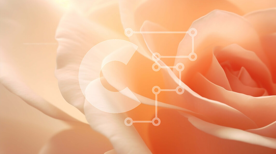 Intra Συλλεκτικό Ξύλινο Παζλ Plywood  4mm - Κοντινό πλάνο του ανθισμένου πορτοκαλιού τριαντάφυλλου στο φως του ήλιου Σε Ξύλινο Κουτί - Διαστάσεις: 10x10 cm – 25 κομμάτια