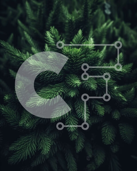 Intra Συλλεκτικό Ξύλινο Παζλ Plywood  4mm - Όμορφη κινηματογράφηση σε πρώτο πλάνο κλαδιού πεύκου με πράσινες βελόνες Σε Ξύλινο Κουτί - Διαστάσεις: 10x10 cm – 25 κομμάτια