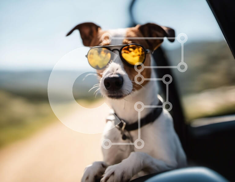 Σετ των 2 Intra Συλλεκτικό Ξύλινο Παζλ Plywood  4mm - Καφέ και λευκό σκυλί που φοράει γυαλιά ηλίου Σε Ξύλινο Κουτί - Διαστάσεις: 10x10 cm – 25 κομμάτια