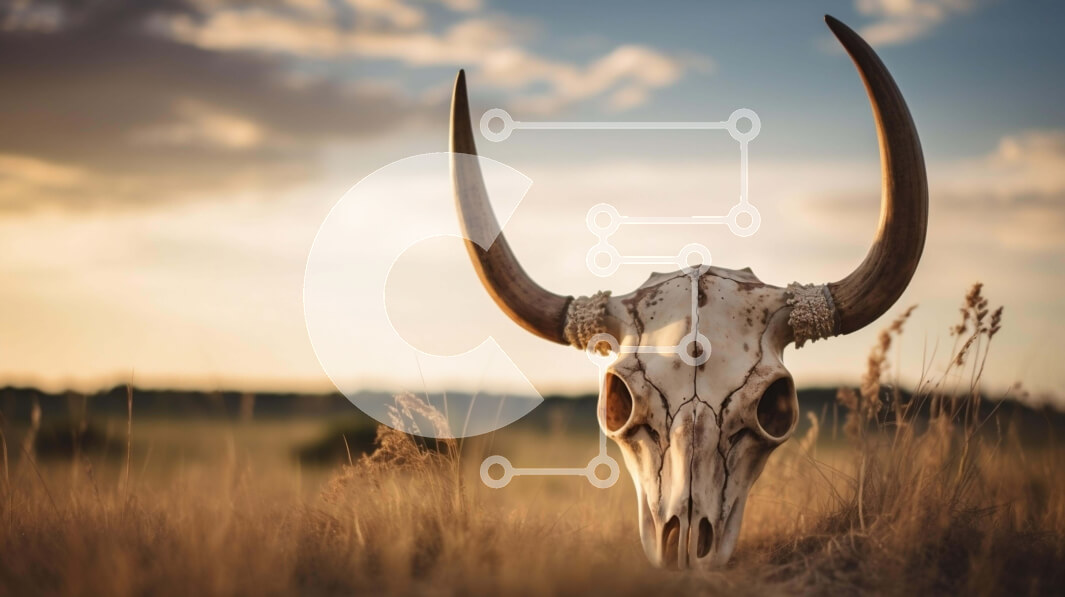 Intra Συλλεκτικό Ξύλινο Παζλ Plywood  4mm - Κρανίο ταύρου στο χορτάρι στο ηλιοβασίλεμα Σε Ξύλινο Κουτί - Διαστάσεις: 10x10 cm – 25 κομμάτια