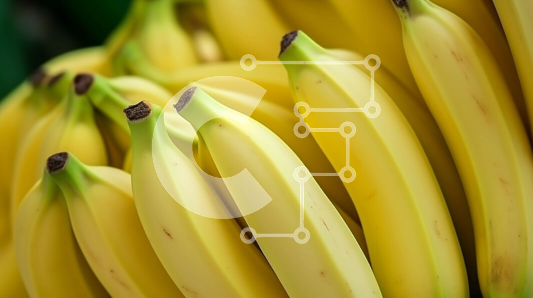 Σετ των 2 Intra Συλλεκτικό Ξύλινο Παζλ Plywood  4mm - Στοίβα μπανάνας - φρέσκια και νόστιμη Σε Ξύλινο Κουτί - Διαστάσεις: 10x10 cm – 25 κομμάτια