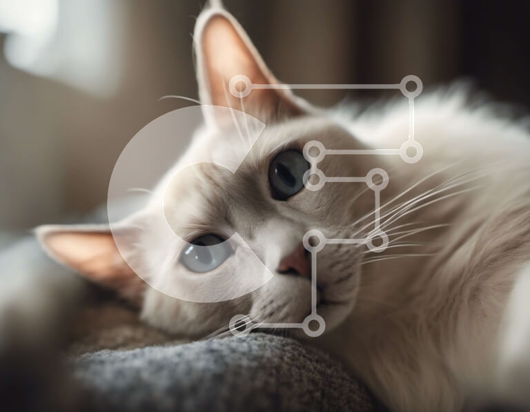 Σετ των 2 Intra Συλλεκτικό Ξύλινο Παζλ Plywood  4mm - Λευκή γάτα με μπλε μάτια που στηρίζεται σε έναν καναπέ Σε Ξύλινο Κουτί - Διαστάσεις: 10x10 cm – 25 κομμάτια