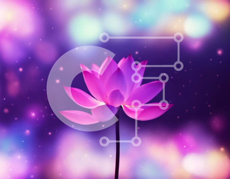 Intra Συλλεκτικό Ξύλινο Παζλ Plywood  4mm - Ροζ λουλούδι λωτού με πολύχρωμα φώτα - εμπνευσμένο φόντο Σε Ξύλινο Κουτί - Διαστάσεις: 10x10 cm – 25 κομμάτια