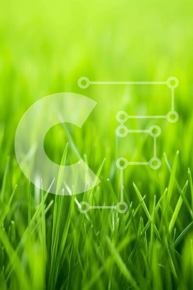 Σετ των 2 Intra Συλλεκτικό Ξύλινο Παζλ Plywood  4mm - Πράσινο πεδίο με γρασίδι φόντο εικόνα Σε Ξύλινο Κουτί - Διαστάσεις: 10x10 cm – 25 κομμάτια