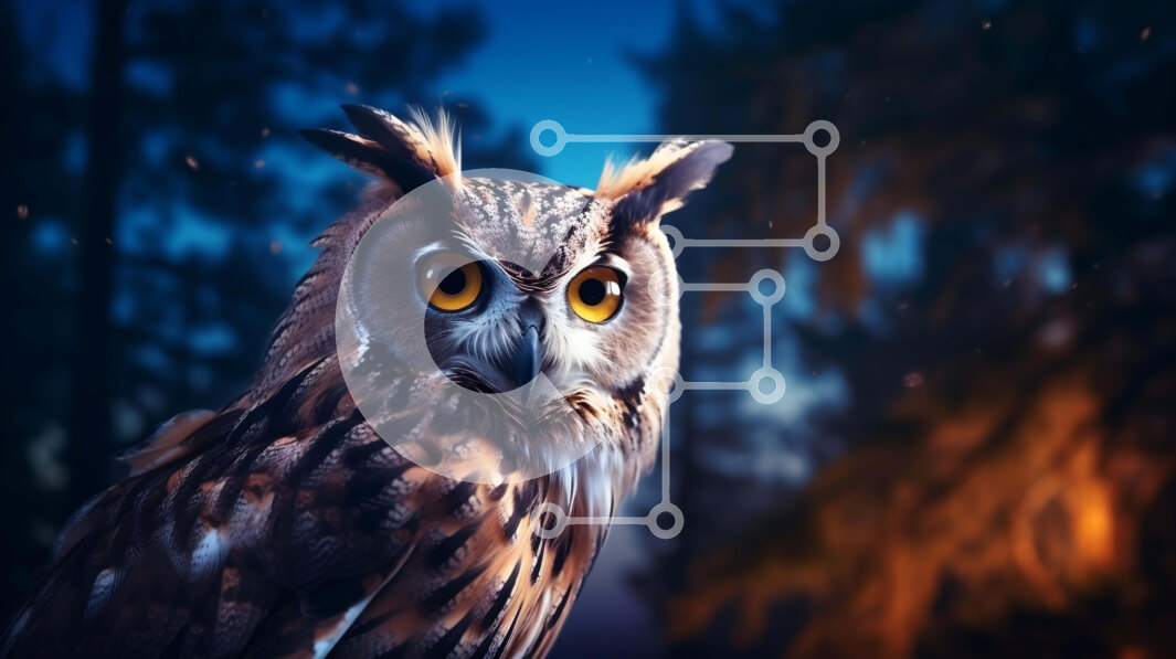 Σετ των 2 Intra Συλλεκτικό Ξύλινο Παζλ Plywood  4mm - Κουκουβάγια με πλατύ μάτια στο δάσος Σε Ξύλινο Κουτί - Διαστάσεις: 10x10 cm – 25 κομμάτια