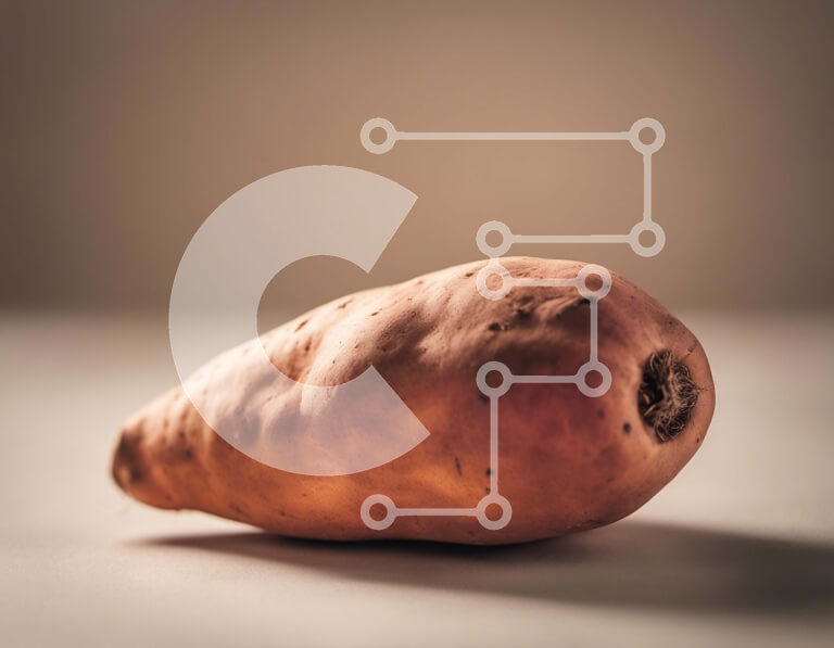 Σετ των 2 Intra Συλλεκτικό Ξύλινο Παζλ Plywood  4mm - Μισοφαγωμένη γλυκοπατάτα στο τραπέζι Σε Ξύλινο Κουτί - Διαστάσεις: 10x10 cm – 25 κομμάτια