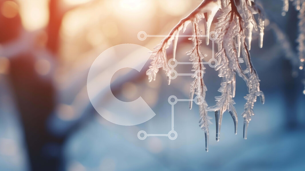 Intra Συλλεκτικό Ξύλινο Παζλ Plywood  4mm - Χειμερινό κλαδί δέντρου με παγάκια και χιόνι Σε Ξύλινο Κουτί - Διαστάσεις: 10x10 cm – 25 κομμάτια