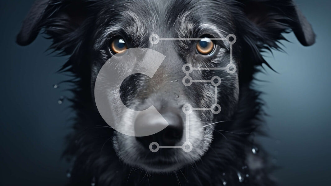 Σετ των 2 Intra Συλλεκτικό Ξύλινο Παζλ Plywood  4mm - Μαύρος σκύλος με βρεγμένα μάτια και σταγόνες νερού που στάζουν Σε Ξύλινο Κουτί - Διαστάσεις: 10x10 cm – 25 κομμάτια