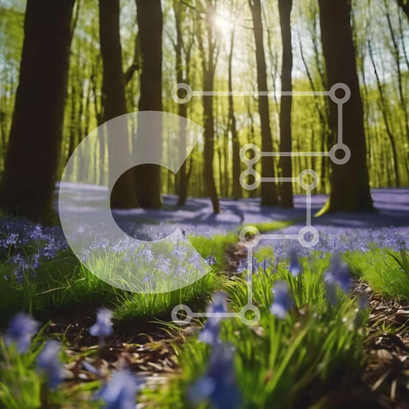 Intra Συλλεκτικό Ξύλινο Παζλ Plywood  4mm - Ειδυλλιακό Bluebell Forest με το ηλιακό φως που φιλτράρεται μέσα από δέντρα Σε Ξύλινο Κουτί - Διαστάσεις: 10x10 cm – 25 κομμάτια