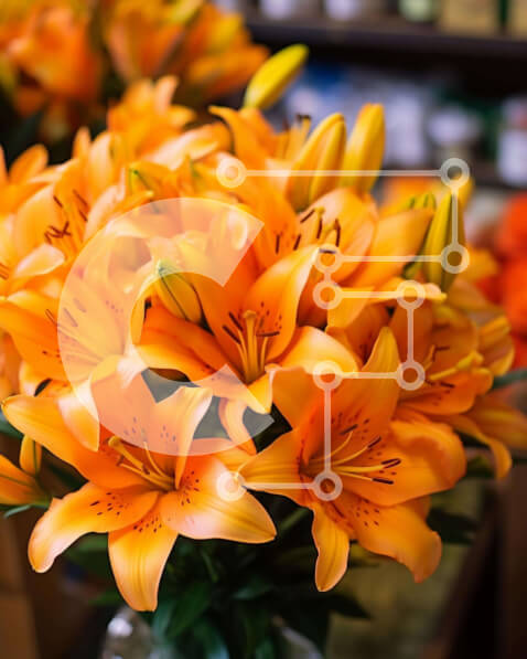 Intra Συλλεκτικό Ξύλινο Παζλ Plywood  4mm - Βάζο με άνθη πορτοκαλιού και φρέσκο ​​προϊόν Σε Ξύλινο Κουτί - Διαστάσεις: 10x10 cm – 25 κομμάτια