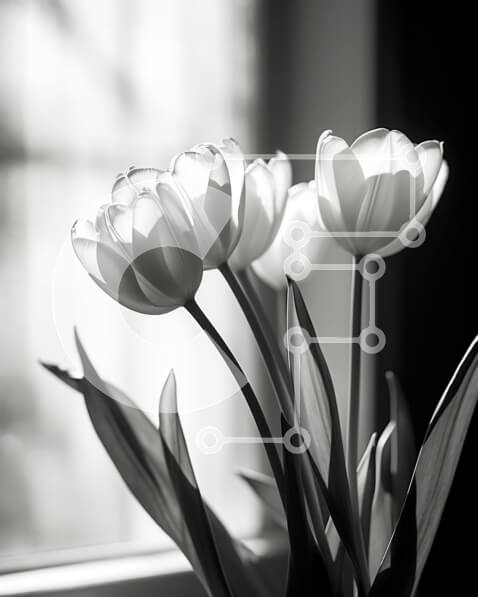 Intra Συλλεκτικό Ξύλινο Παζλ Plywood  4mm - Λευκές τουλίπες σε ασπρόμαυρο βάζο Σε Ξύλινο Κουτί - Διαστάσεις: 10x10 cm – 25 κομμάτια