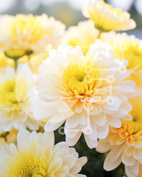 Intra Συλλεκτικό Ξύλινο Παζλ Plywood  4mm - Ανθισμένα κίτρινα και λευκά λουλούδια στον κήπο Σε Ξύλινο Κουτί - Διαστάσεις: 10x10 cm – 25 κομμάτια