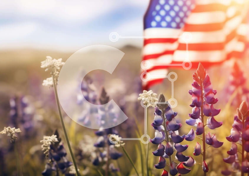 Intra Συλλεκτικό Ξύλινο Παζλ Plywood  4mm - Αμερικανική σημαία στο πεδίο των μωβ και λευκών λουλουδιών Σε Ξύλινο Κουτί - Διαστάσεις: 10x10 cm – 25 κομμάτια