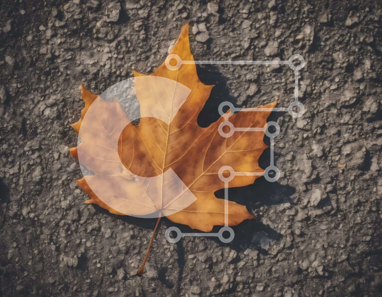 Intra Συλλεκτικό Ξύλινο Παζλ Plywood  4mm - Ενιαίο φθινοπωρινό φύλλο σφενδάμου στο πεζοδρόμιο Σε Ξύλινο Κουτί - Διαστάσεις: 10x10 cm – 25 κομμάτια