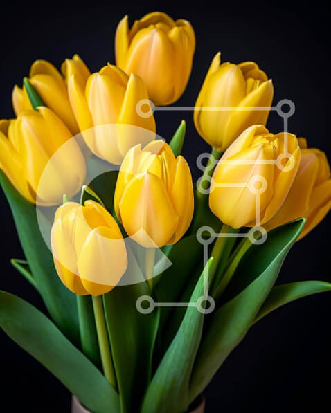 Intra Συλλεκτικό Ξύλινο Παζλ Plywood  4mm - Κίτρινες τουλίπες σε βάζο στο τραπέζι με μαύρο φόντο Σε Ξύλινο Κουτί - Διαστάσεις: 10x10 cm – 25 κομμάτια