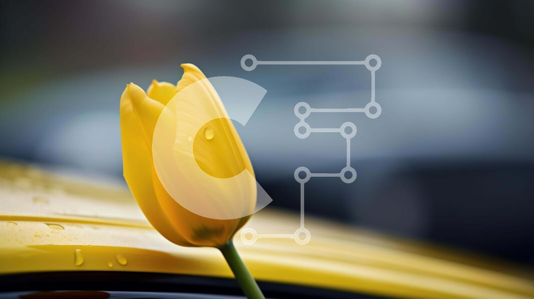 Intra Συλλεκτικό Ξύλινο Παζλ Plywood  4mm - Κίτρινη τουλίπα στην κουκούλα αυτοκινήτου με σταγόνες βροχής Σε Ξύλινο Κουτί - Διαστάσεις: 10x10 cm – 25 κομμάτια