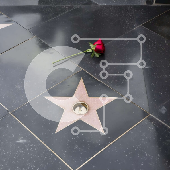 Intra Συλλεκτικό Ξύλινο Παζλ Plywood  4mm - Κόκκινο τριαντάφυλλο και αστέρια στο έδαφος Σε Ξύλινο Κουτί - Διαστάσεις Puzzle: 10x10 cm – 25 κομμάτια