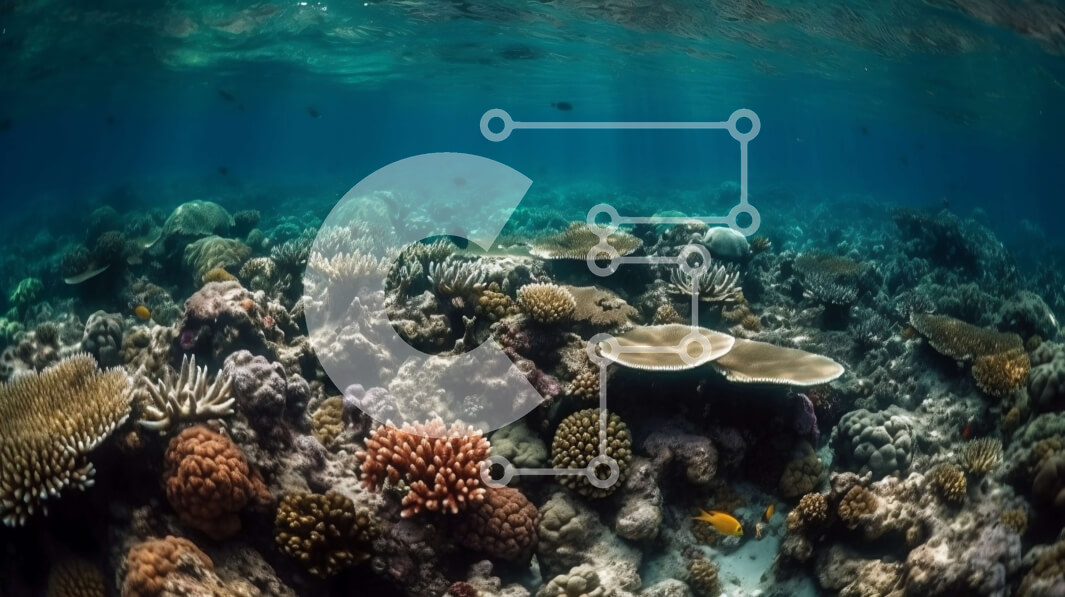 Intra Συλλεκτικό Ξύλινο Παζλ Plywood  4mm - Εικόνα ενός ζωντανού κοραλλιογενούς υφάλου με ψάρια, χελώνες και καρχαρίες σε κρυστάλλινο νερό Σε Ξύλινο Κουτί - Διαστάσεις: 10x10 cm – 25 κομμάτια