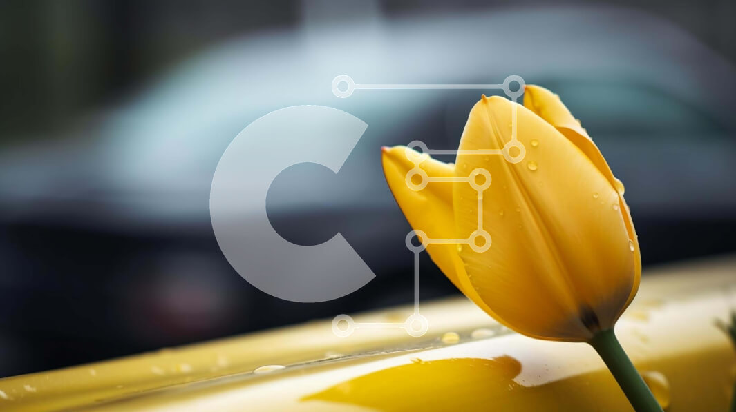 Intra Συλλεκτικό Ξύλινο Παζλ Plywood  4mm - Κίτρινη τουλίπα στο ταμπλό αυτοκινήτου Σε Ξύλινο Κουτί - Διαστάσεις Puzzle: 10x10 cm – 25 κομμάτια