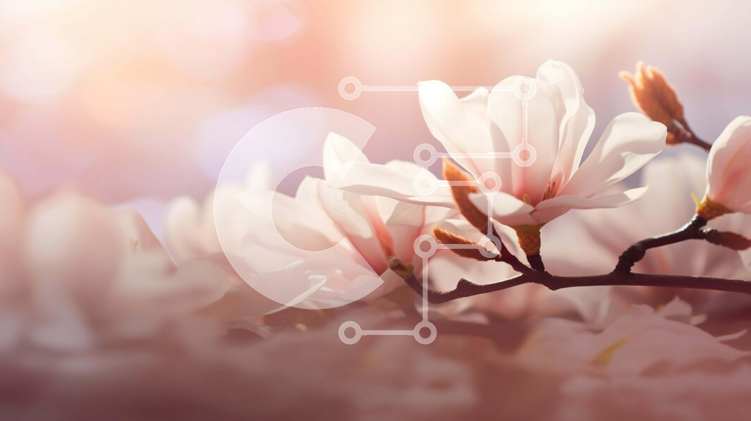 Intra Συλλεκτικό Ξύλινο Παζλ Plywood  4mm - Λευκά λουλούδια μανόλιας που ανθίζουν την άνοιξη Σε Ξύλινο Κουτί - Διαστάσεις: 10x10 cm – 25 κομμάτια