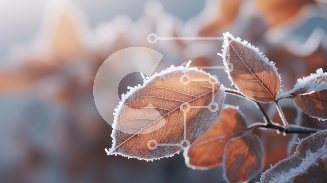 Intra Συλλεκτικό Ξύλινο Παζλ Plywood  4mm - Κοντινό πλάνο με πορτοκαλί φύλλα καλυμμένα με παγετό Σε Ξύλινο Κουτί - Διαστάσεις: 10x10 cm – 25 κομμάτια