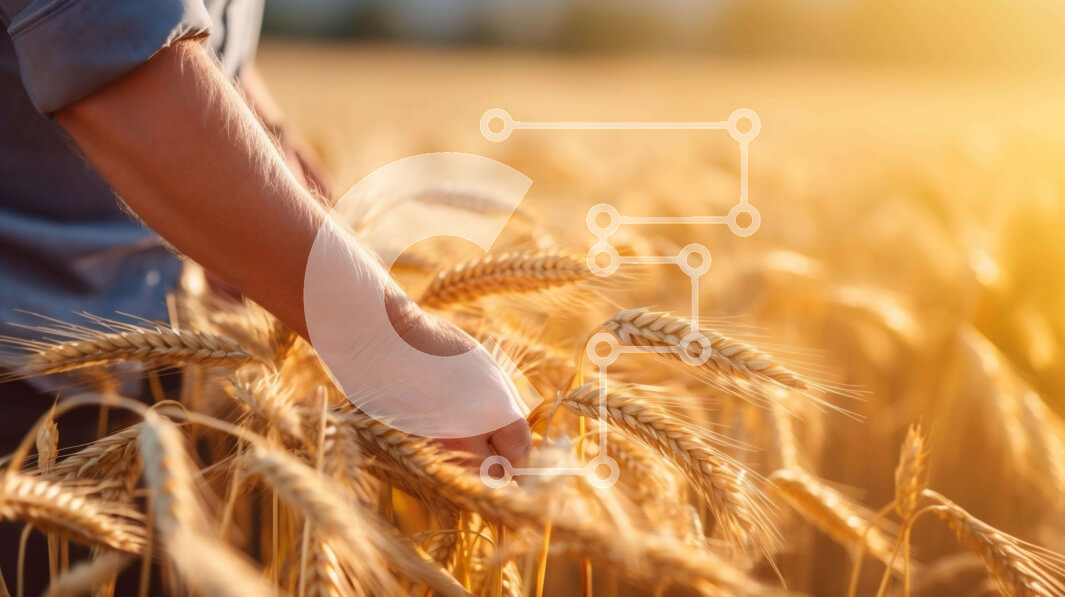 Intra Συλλεκτικό Ξύλινο Παζλ Plywood  4mm - Χέρι που μαζεύει σιτάρι σε ένα χωράφι με συννεφιασμένο ουρανό Σε Ξύλινο Κουτί - Διαστάσεις: 10x10 cm – 25 κομμάτια