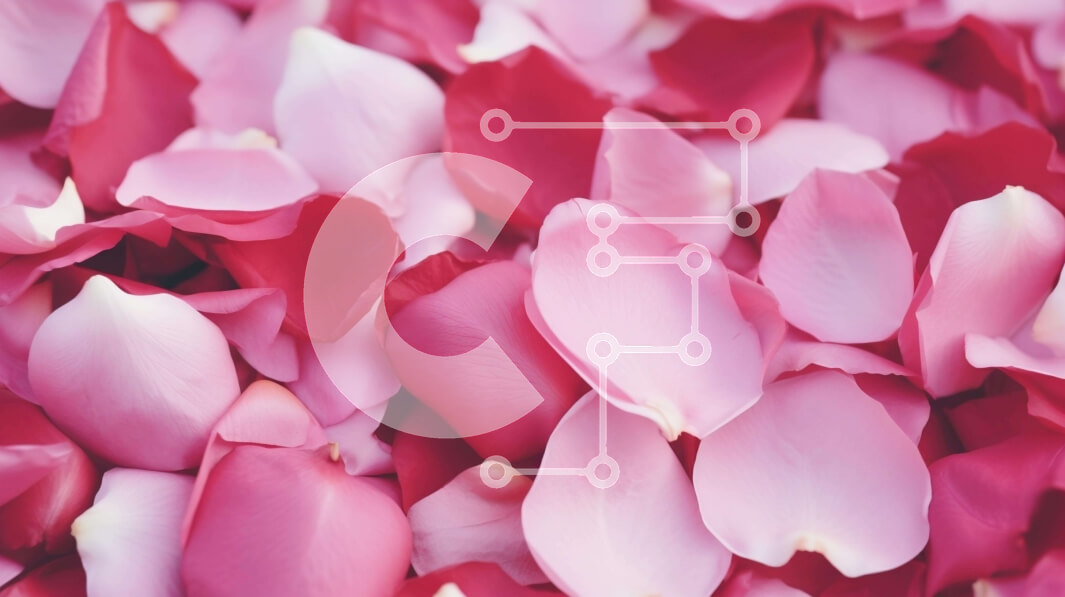 Intra Συλλεκτικό Ξύλινο Παζλ Plywood  4mm - Ροζ και λευκά πέταλα για διακόσμηση Σε Ξύλινο Κουτί - Διαστάσεις: 10x10 cm – 25 κομμάτια