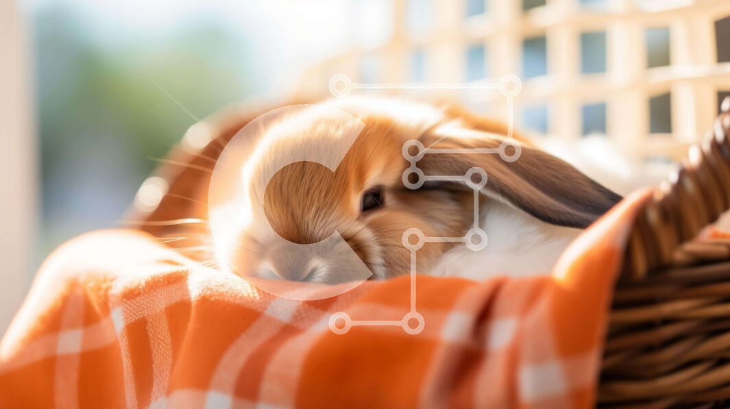 Intra Συλλεκτικό Ξύλινο Παζλ Plywood  4mm - Χαριτωμένο καφέ και πορτοκαλί λαγουδάκι που στηρίζεται σε καλάθι σε καρό κουβέρτα Σε Ξύλινο Κουτί - Διαστάσεις: 10x10 cm – 25 κομμάτια