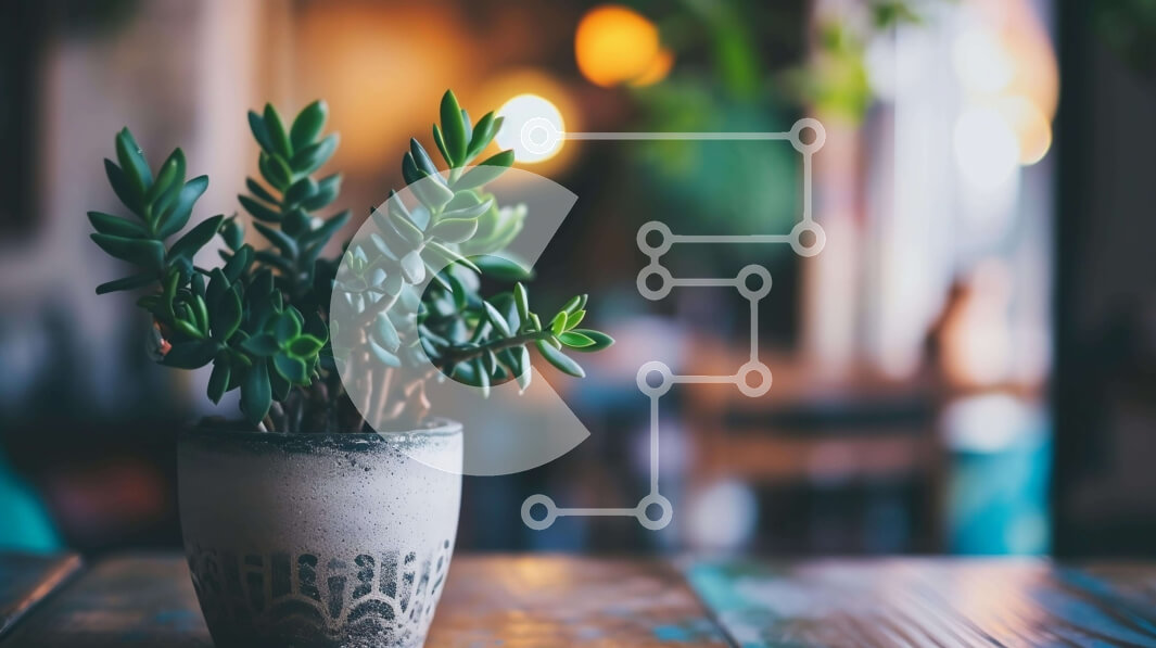 Intra Συλλεκτικό Ξύλινο Παζλ Plywood  4mm - Υγιές φυτό σε γλάστρα σε παλιό ξύλινο τραπέζι Σε Ξύλινο Κουτί - Διαστάσεις: 10x10 cm – 25 κομμάτια