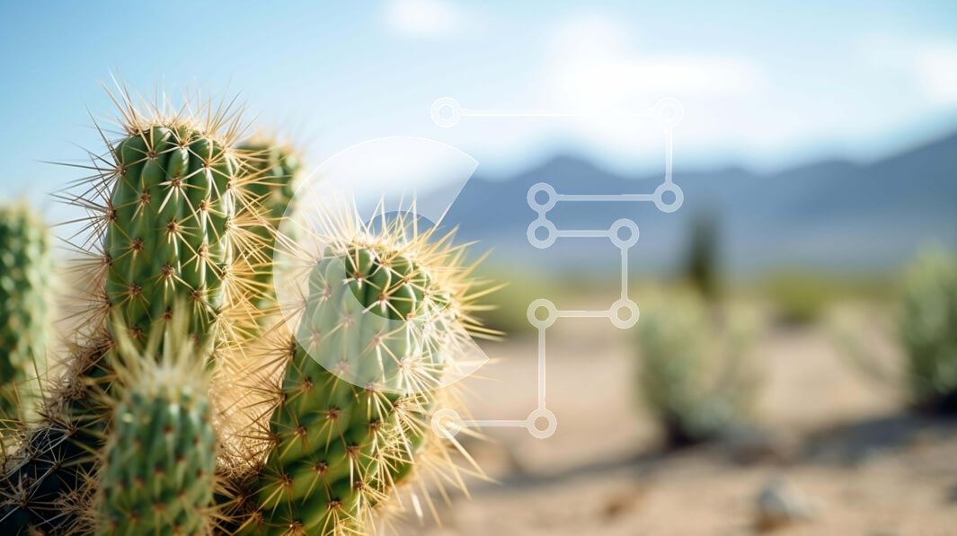 Intra Συλλεκτικό Ξύλινο Παζλ Plywood  4mm - Φυτά κάκτων στην έρημο με τα βουνά Σε Ξύλινο Κουτί - Διαστάσεις: 10x10 cm – 25 κομμάτια