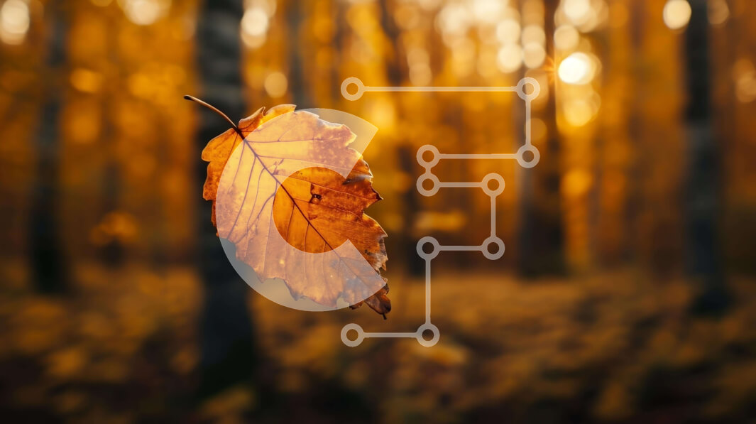 Intra Συλλεκτικό Ξύλινο Παζλ Plywood  4mm - Μονό κίτρινο φύλλο που επιπλέει στο φθινοπωρινό δάσος Σε Ξύλινο Κουτί - Διαστάσεις: 10x10 cm – 25 κομμάτια