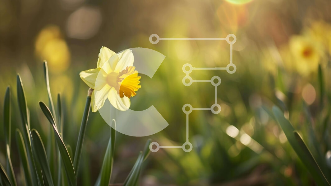 Intra Συλλεκτικό Ξύλινο Παζλ Plywood  4mm - Μονό κίτρινο λουλούδι σε ένα χωράφι με πράσινο γρασίδι Σε Ξύλινο Κουτί - Διαστάσεις: 10x10 cm – 25 κομμάτια