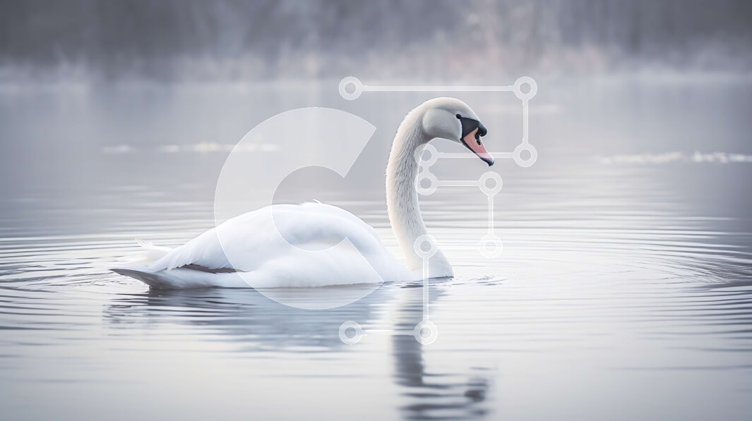 Intra Συλλεκτικό Ξύλινο Παζλ Plywood  4mm - Όμορφη εικόνα ενός λευκού κύκνου στη λίμνη βουνού Σε Ξύλινο Κουτί - Διαστάσεις: 10x10 cm – 25 κομμάτια