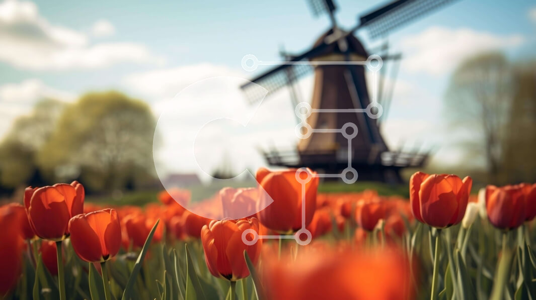 Intra Συλλεκτικό Ξύλινο Παζλ Plywood  4mm - Πεδίο με κόκκινες τουλίπες με πορτοκαλί ανεμόμυλο Σε Ξύλινο Κουτί - Διαστάσεις: 10x10 cm – 25 κομμάτια