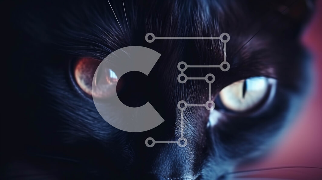 Intra Συλλεκτικό Ξύλινο Παζλ Plywood  4mm - Κοντινό πλάνο του προσώπου μιας μαύρης γάτας με πορτοκαλί μάτια Σε Ξύλινο Κουτί - Διαστάσεις: 10x10 cm – 25 κομμάτια