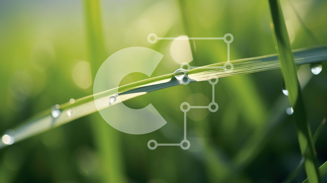 Intra Συλλεκτικό Ξύλινο Παζλ Plywood  4mm - Κοντινό πλάνο σταγονίδια νερού σε λεπίδες χλόης Σε Ξύλινο Κουτί - Διαστάσεις: 10x10 cm – 25 κομμάτια