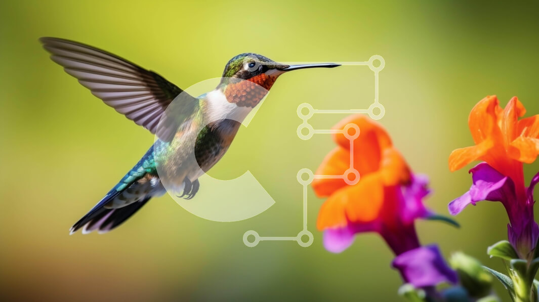 Intra Συλλεκτικό Ξύλινο Παζλ Plywood  4mm - Κολίμπρι σε πτήση με πολύχρωμα λουλούδια Σε Ξύλινο Κουτί - Διαστάσεις: 10x10 cm – 25 κομμάτια