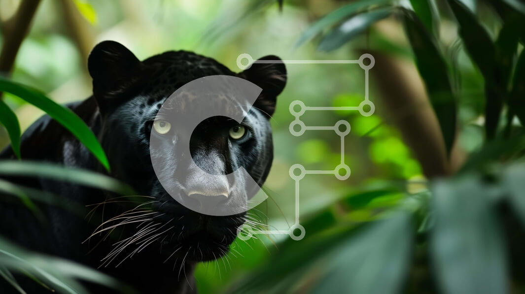 Σετ των 2 Intra Συλλεκτικό Ξύλινο Παζλ Plywood  4mm - Μαύρος Πάνθηρας στη Ζούγκλα Σε Ξύλινο Κουτί - Διαστάσεις: 10x10 cm – 25 κομμάτια