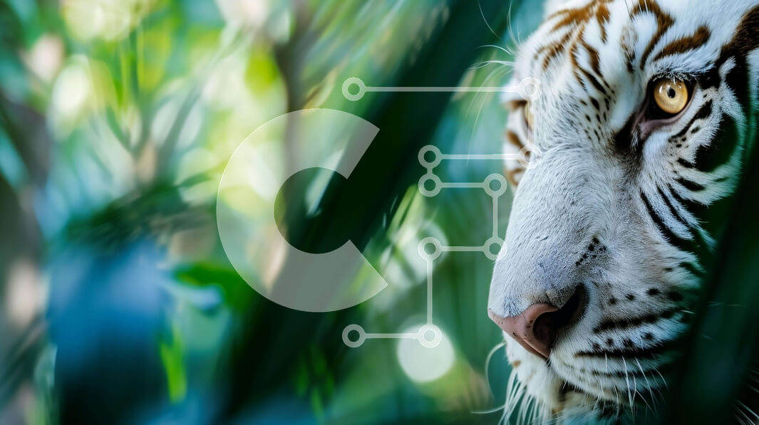 Σετ των 2 Intra Συλλεκτικό Ξύλινο Παζλ Plywood  4mm - Λευκή τίγρη που κρυφοκοιτάζει πίσω από το πράσινο φύλλωμα Σε Ξύλινο Κουτί - Διαστάσεις: 10x10 cm – 25 κομμάτια