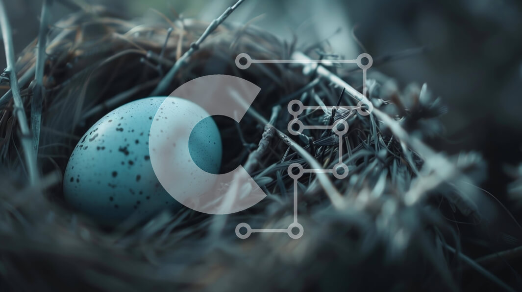 Intra Συλλεκτικό Ξύλινο Παζλ Plywood  4mm - Μπλε αυγό πουλιών στη φωλιά Σε Ξύλινο Κουτί - Διαστάσεις: 10x10 cm – 25 κομμάτια