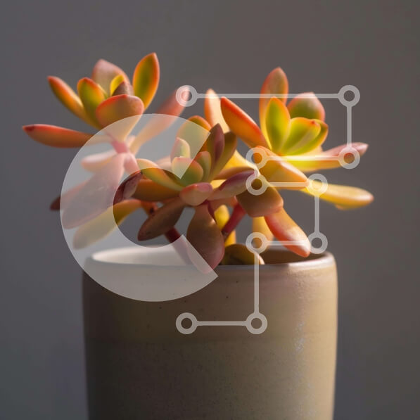 Intra Συλλεκτικό Ξύλινο Παζλ Plywood  4mm - Κεραμικό βάζο με παχύφυτα Σε Ξύλινο Κουτί - Διαστάσεις: 10x10 cm – 25 κομμάτια