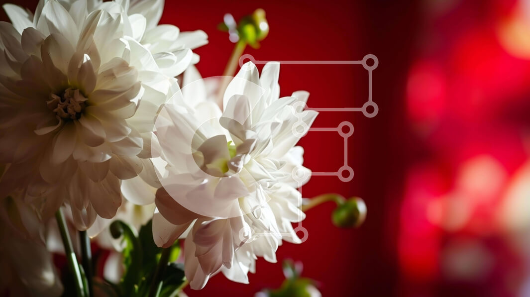 Intra Συλλεκτικό Ξύλινο Παζλ Plywood  4mm - Λευκά λουλούδια σε βάζο σε κόκκινο φόντο Σε Ξύλινο Κουτί - Διαστάσεις Puzzle: 10x10 cm – 25 κομμάτια