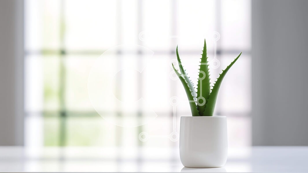 Intra Συλλεκτικό Ξύλινο Παζλ Plywood  4mm - Φυτό Aloe Vera σε λευκό βάζο στο τραπέζι Σε Ξύλινο Κουτί - Διαστάσεις: 10x10 cm – 25 κομμάτια