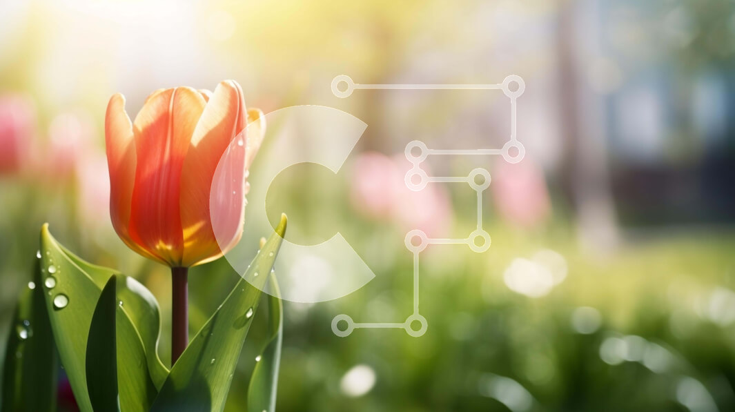 Intra Συλλεκτικό Ξύλινο Παζλ Plywood  4mm - Πορτοκαλί τουλίπα σε λιβάδι με ροζ και κίτρινα λουλούδια Σε Ξύλινο Κουτί - Διαστάσεις: 10x10 cm – 25 κομμάτια