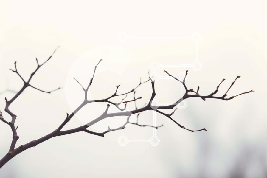 Intra Συλλεκτικό Ξύλινο Παζλ Plywood  4mm - Γυμνό κλαδί δέντρου με ιπτάμενο πουλί Σε Ξύλινο Κουτί - Διαστάσεις: 10x10 cm – 25 κομμάτια